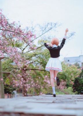 花开雷霆崖